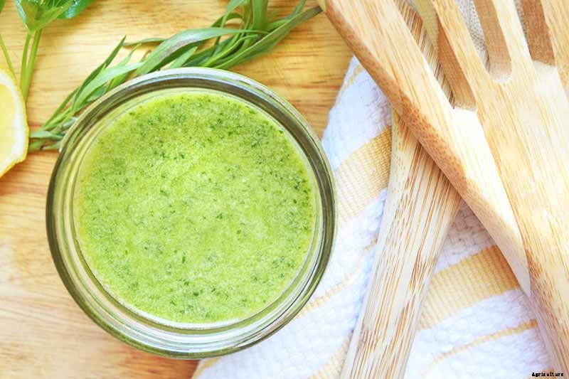 How to Grow and Care for French Tarragon