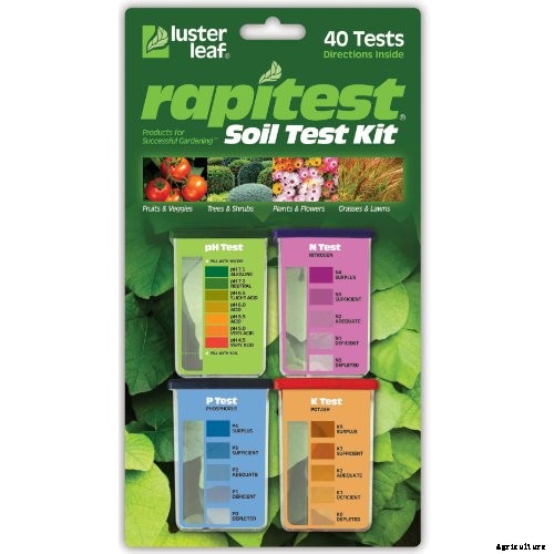 Fertilize Your Passionflower Vines to Boost Growth and Production