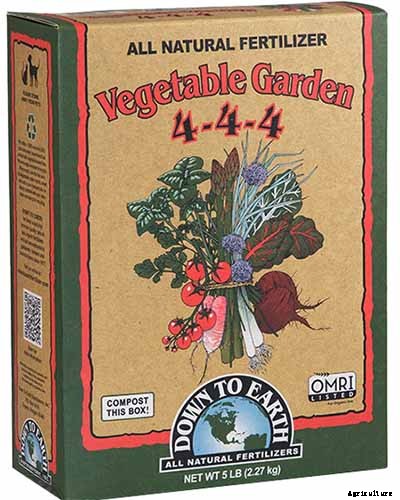 Fertilize Your Passionflower Vines to Boost Growth and Production