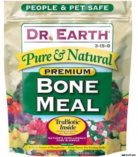 Fertilize Your Passionflower Vines to Boost Growth and Production