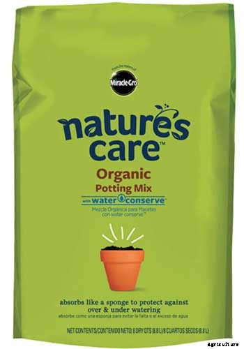 Tips for Growing Blackberries in Containers