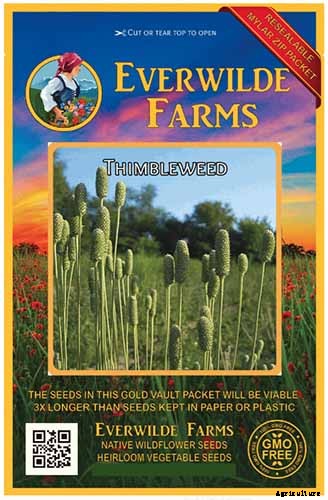 How to Grow and Care for Candle Anemones