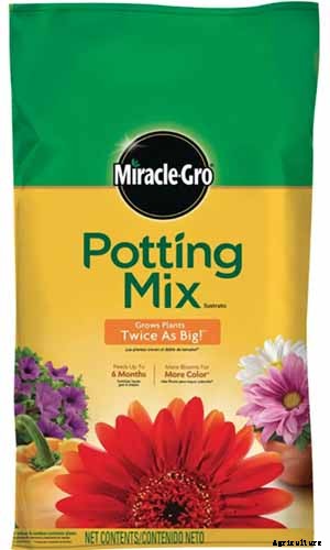 How to Propagate Roses from Cuttings