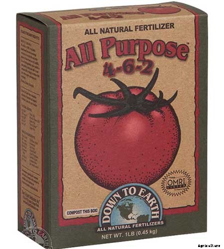 How to Grow Thai Basil in Your Herb Garden