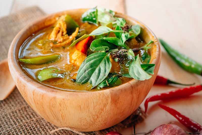 How to Grow Thai Basil in Your Herb Garden