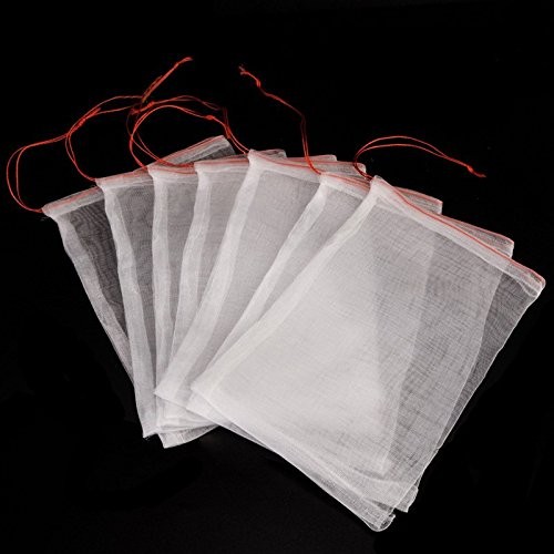 How to Propagate Camellias