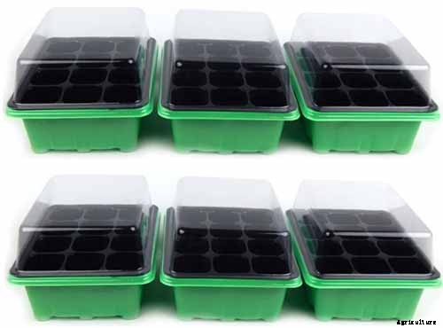 How to Propagate Camellias