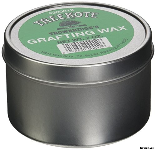 How to Propagate Camellias