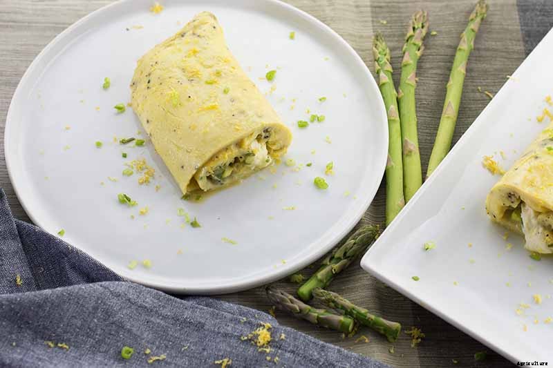 When and How to Harvest Asparagus