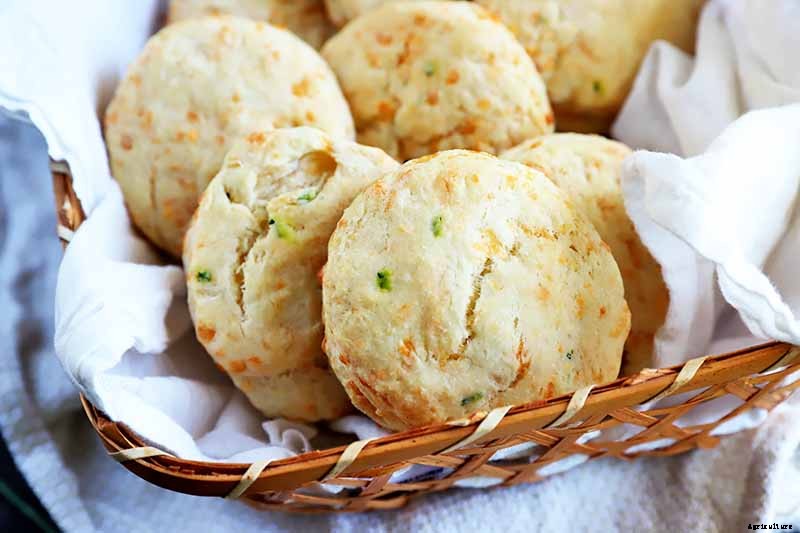 What Are Wild Chives and What Can I Do with Them?