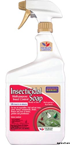 How to Identify and Control Common Sunflower Pests