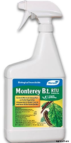 How to Identify and Control Common Sunflower Pests