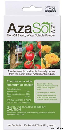 How to Identify and Control Common Sunflower Pests