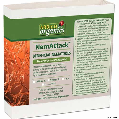 How to Identify and Control Common Sunflower Pests