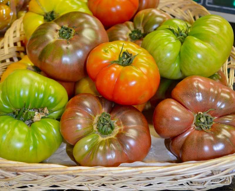 How to Plant and Grow Brandywine Tomatoes