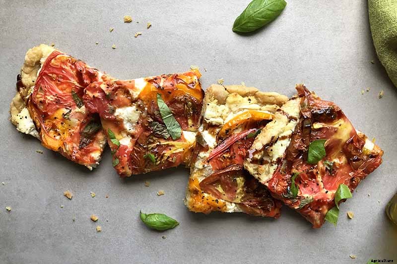 How to Plant and Grow Brandywine Tomatoes