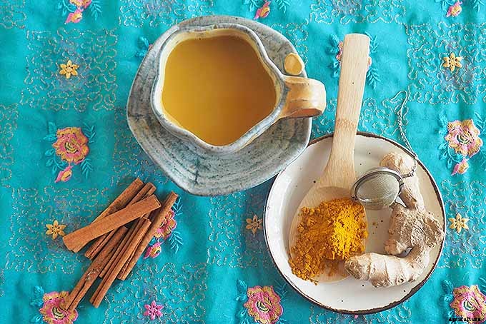 Grow a Superfood in Your Own Backyard: Cultivating Tuberous Turmeric