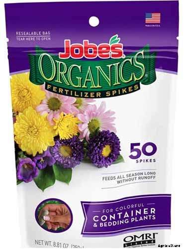 How to Plant and Grow Scented Geraniums