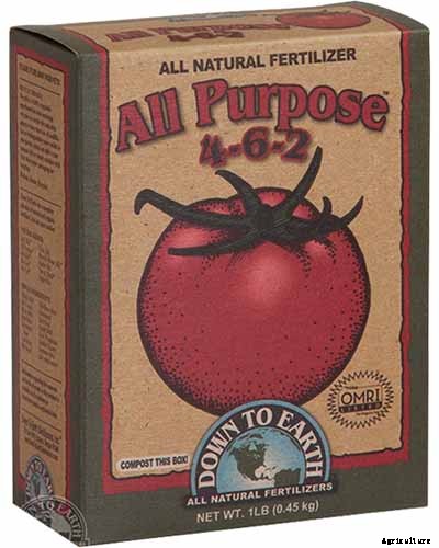 How to Plant and Grow Scented Geraniums