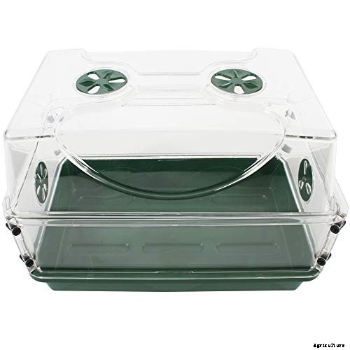 Add Cooling Crunch to Your Cuisine All Season: How to Grow Cucumbers