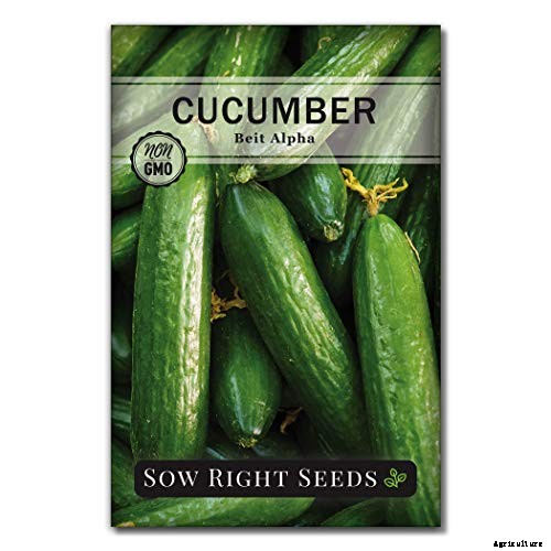 Add Cooling Crunch to Your Cuisine All Season: How to Grow Cucumbers