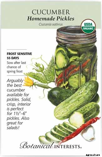 Add Cooling Crunch to Your Cuisine All Season: How to Grow Cucumbers