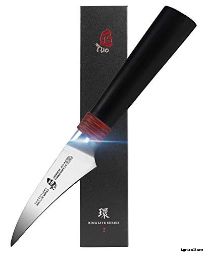 Add Cooling Crunch to Your Cuisine All Season: How to Grow Cucumbers