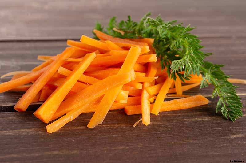 A Heavy Soil Hero: How to Grow Danvers Carrots