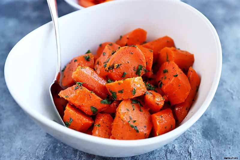 A Heavy Soil Hero: How to Grow Danvers Carrots