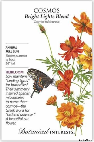 25 of the Best Cosmos Flower Cultivars for Your Yard