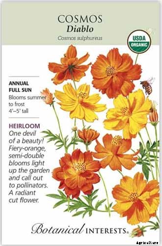 25 of the Best Cosmos Flower Cultivars for Your Yard