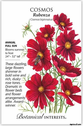 25 of the Best Cosmos Flower Cultivars for Your Yard