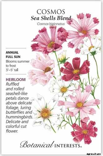 25 of the Best Cosmos Flower Cultivars for Your Yard