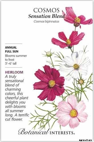 25 of the Best Cosmos Flower Cultivars for Your Yard