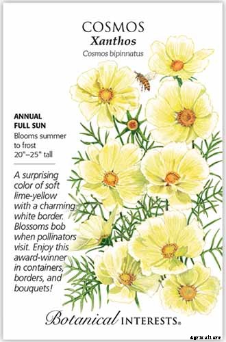 25 of the Best Cosmos Flower Cultivars for Your Yard