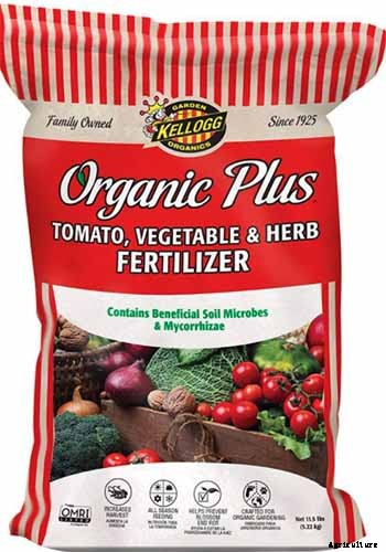 5 Reasons Your Eggplant Blossoms Are Falling Off