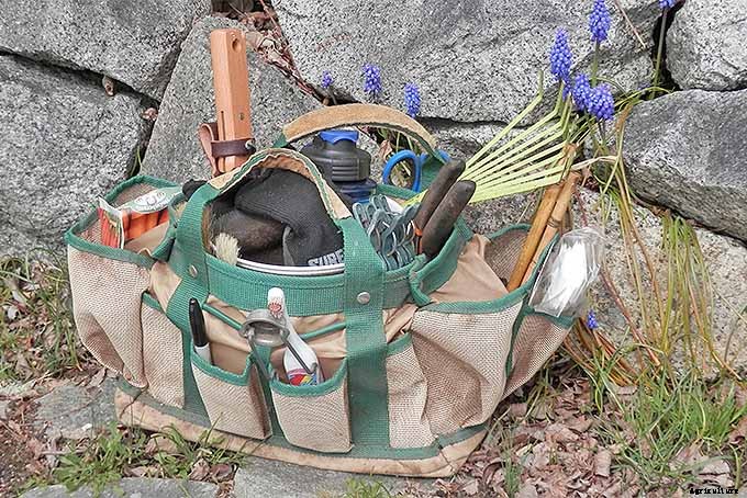 Planting Your First Vegetable Garden: A Beginner’s Guide