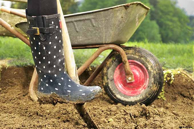 Planting Your First Vegetable Garden: A Beginner’s Guide