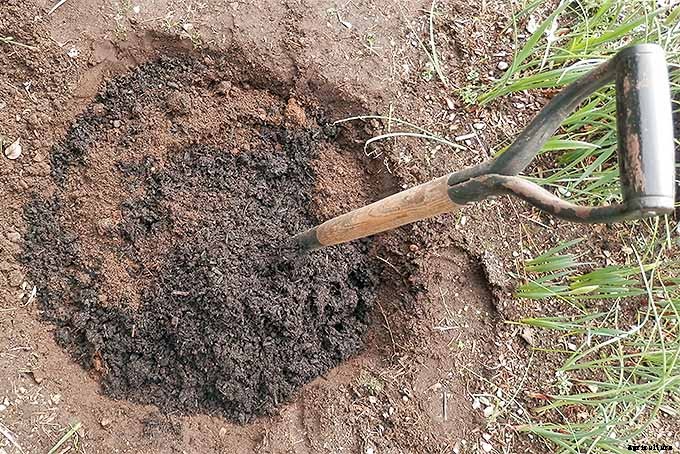 Planting Your First Vegetable Garden: A Beginner’s Guide