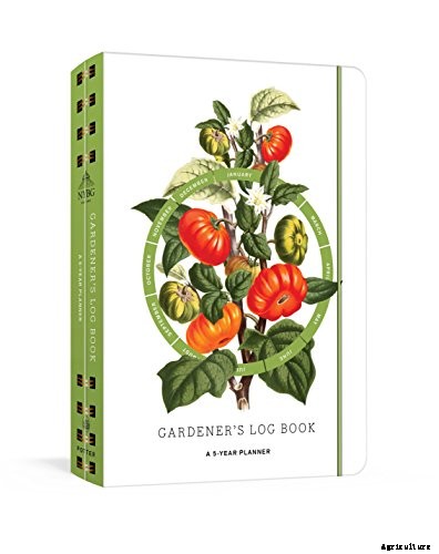 Planting Your First Vegetable Garden: A Beginner’s Guide