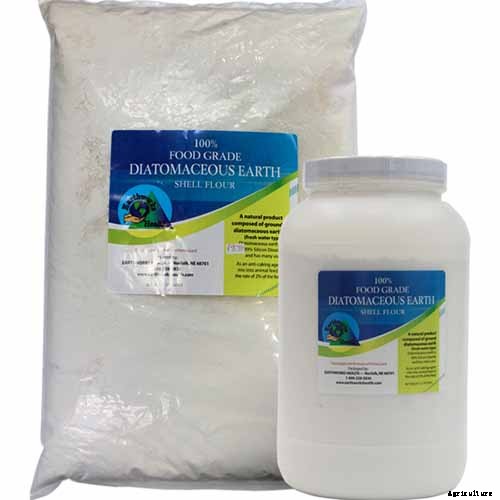 How to Grow Irises for Fragrance and Color