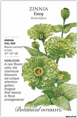 15 of the Best Zinnia Varieties to Grow in the Garden