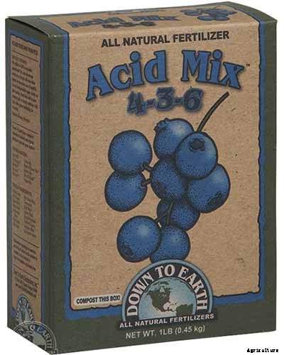 How to Propagate Blueberry Bushes