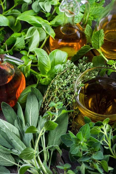 The Top 5 Mediterranean Herbs: Growing, Eating, and Healing