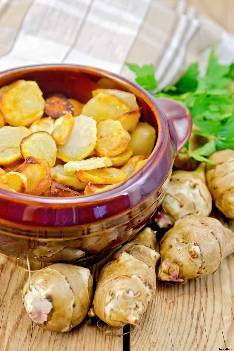 How to Plant and Grow Jerusalem Artichokes (Sunchokes)