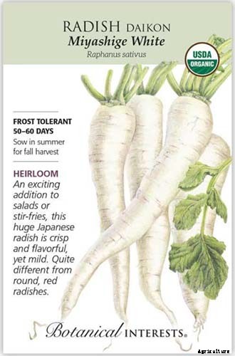 25 of the Best Radish Varieties for Your Veggie Garden