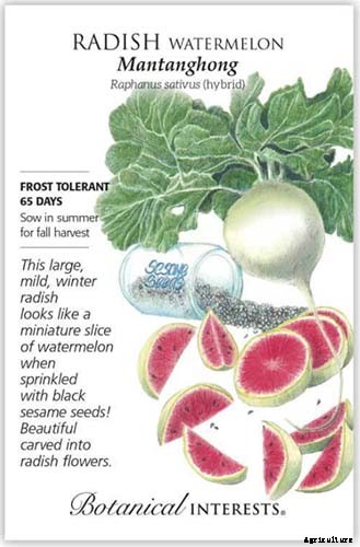 25 of the Best Radish Varieties for Your Veggie Garden