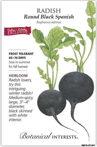 25 of the Best Radish Varieties for Your Veggie Garden