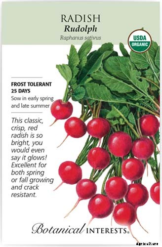 25 of the Best Radish Varieties for Your Veggie Garden