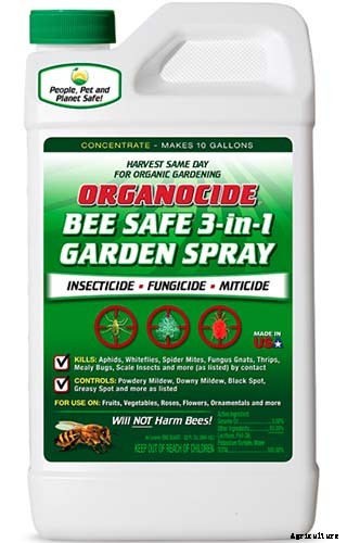 How to Grow Blueberries in Containers